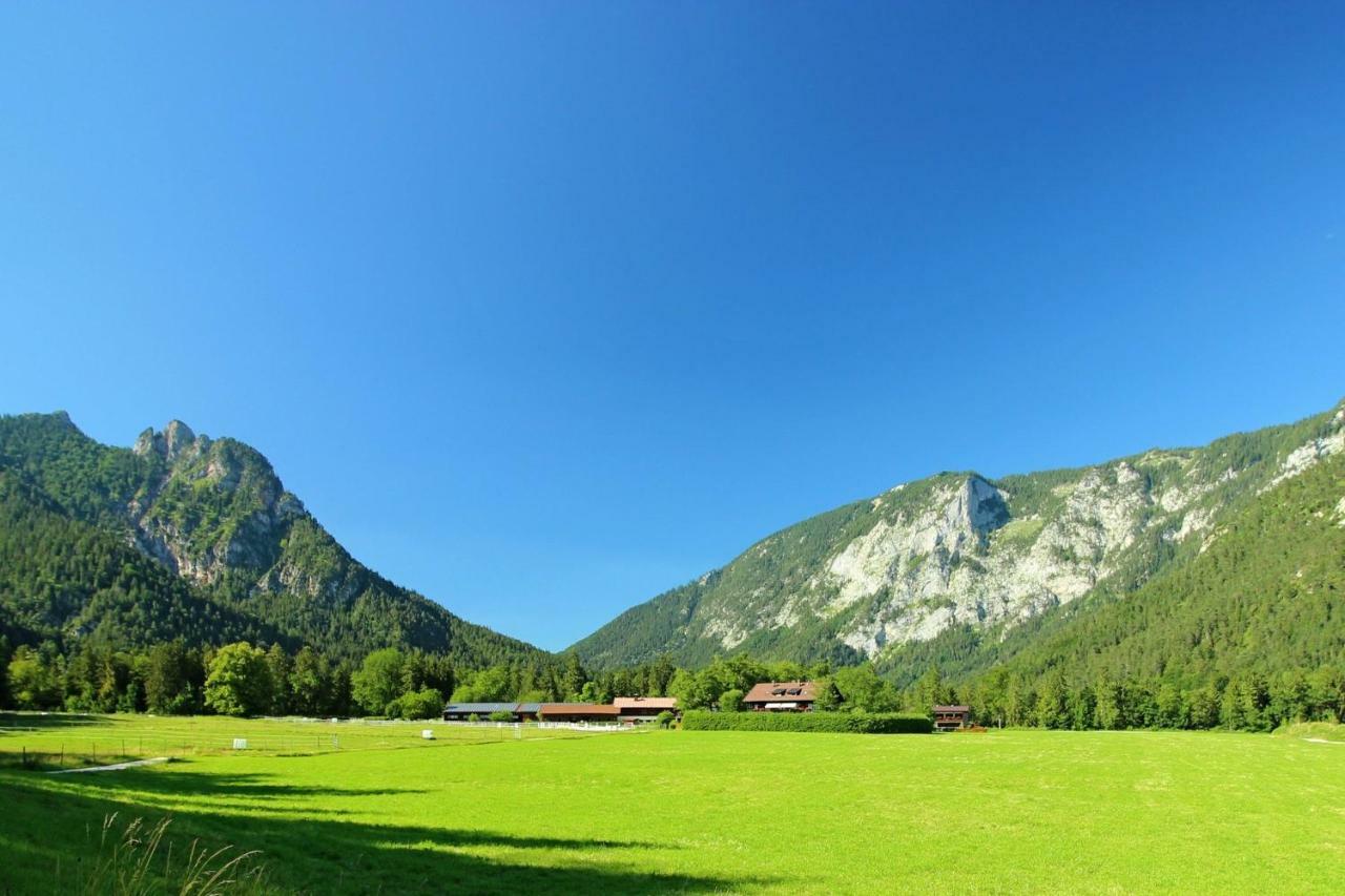 Ferienhaus Gestuet Pfaffenlehen بيسخوفسويسن المظهر الخارجي الصورة